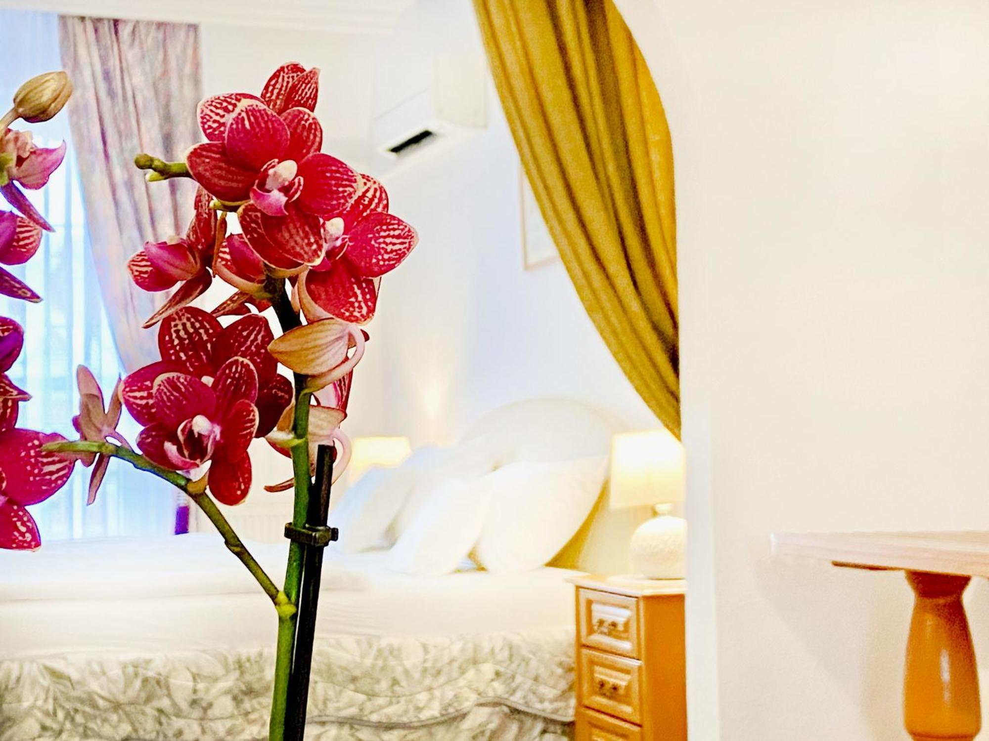 Hotel Wesselényi Győr Extérieur photo